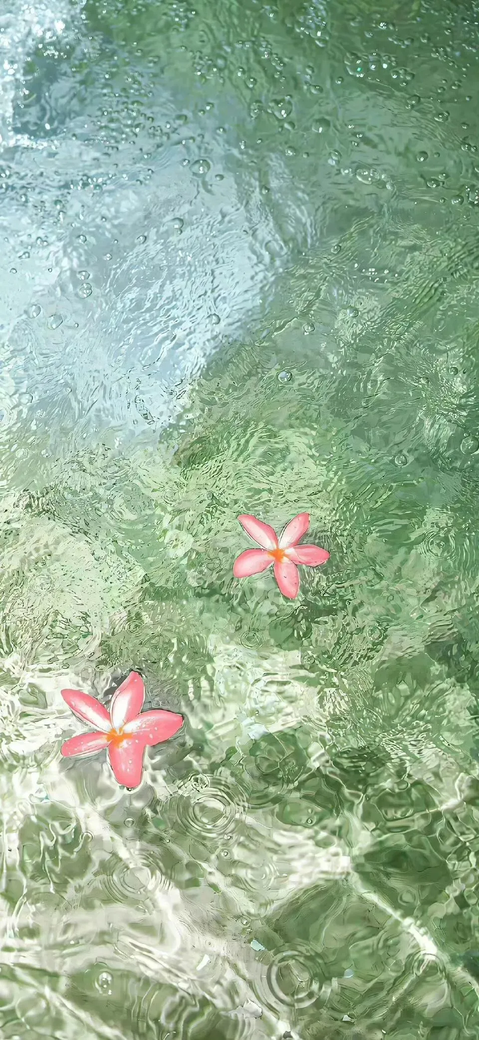 一眼看到夏了～蓝蓝的湖水🍃