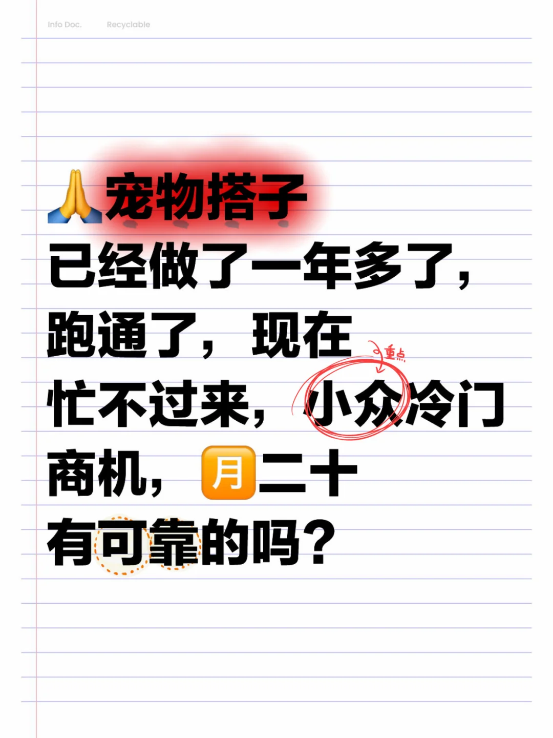 国外🔥的宠物生意被我搬回国，真的太香了