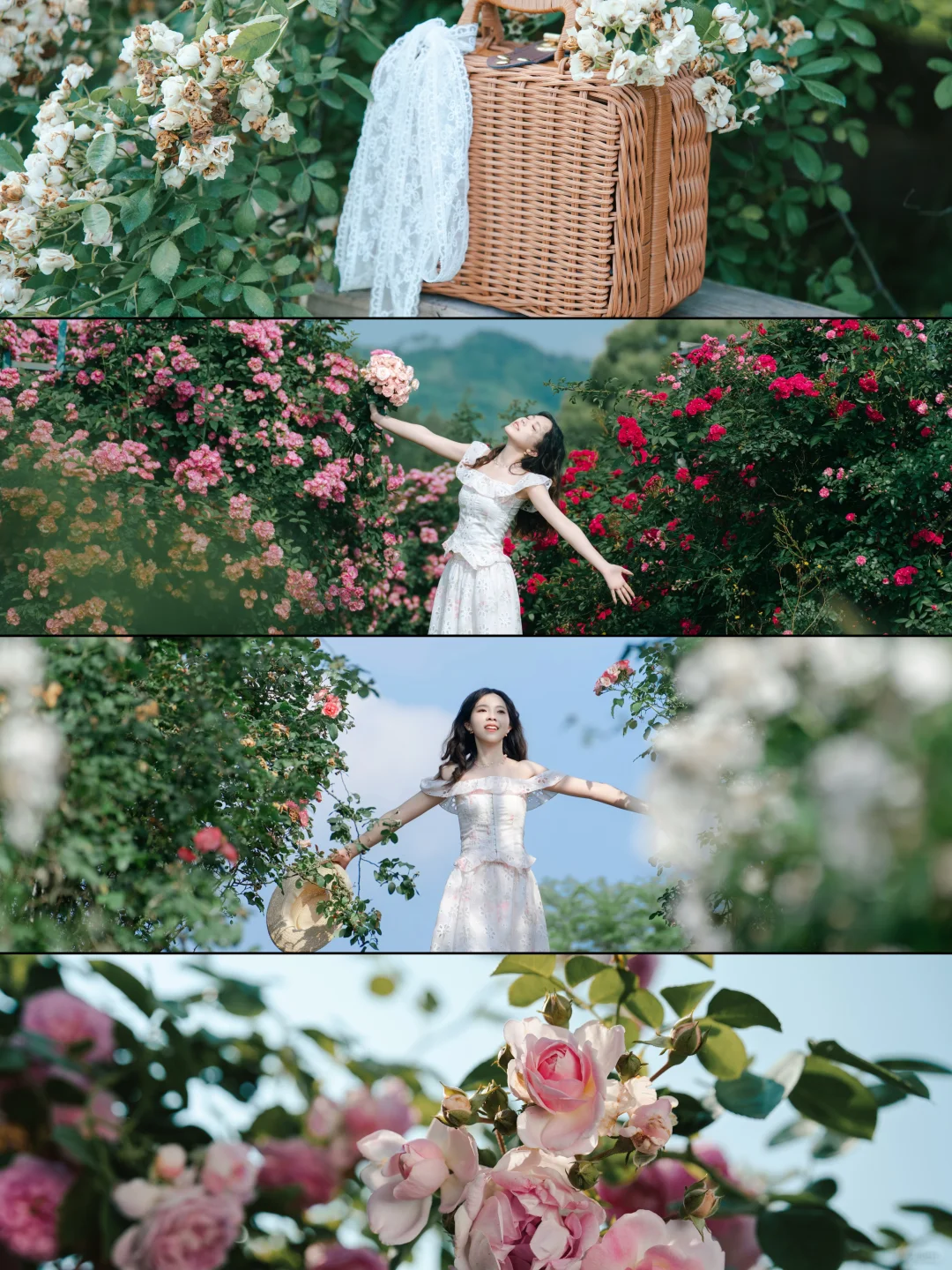 NO.2迟了20天的美照，忘记发了哈哈