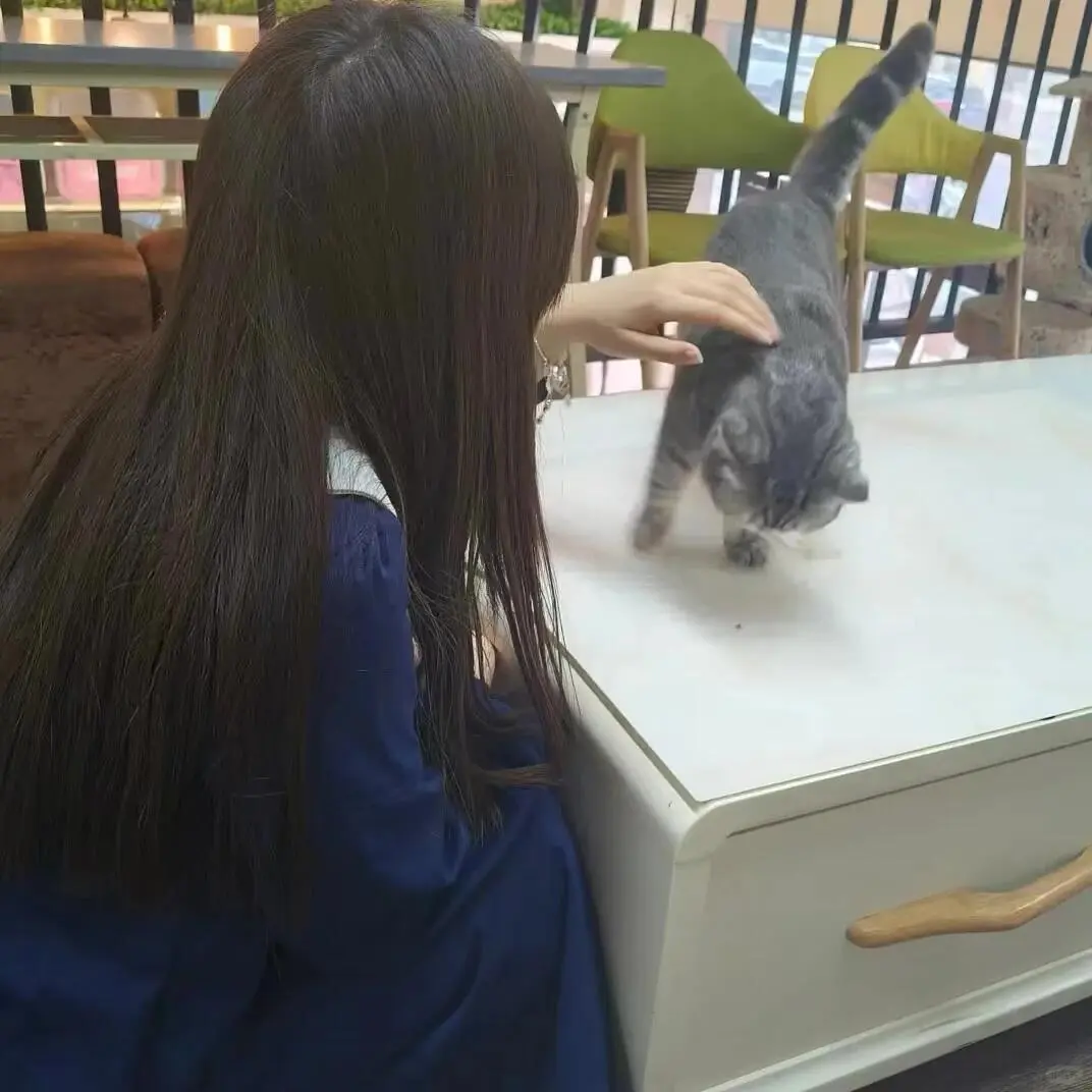 WeChat甜美女头
