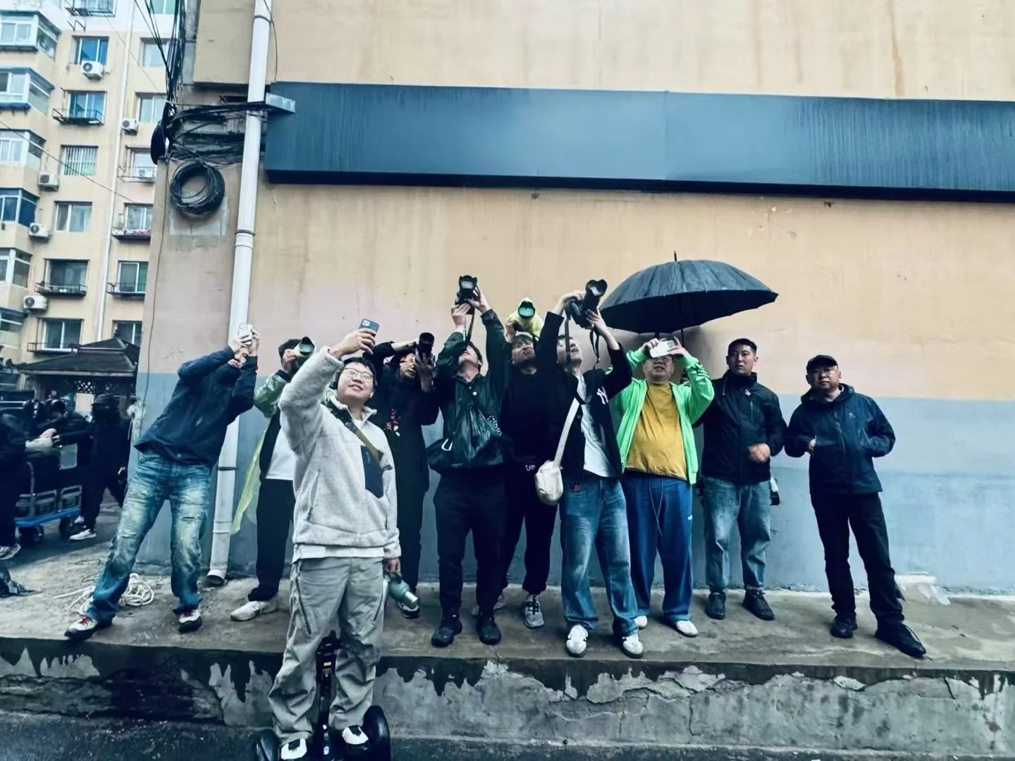 森中有林