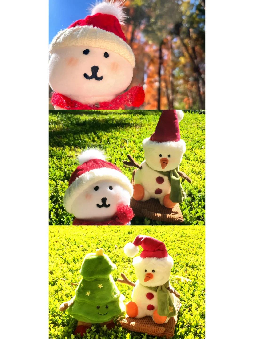 精美手机壁纸点亮你的屏幕与心情