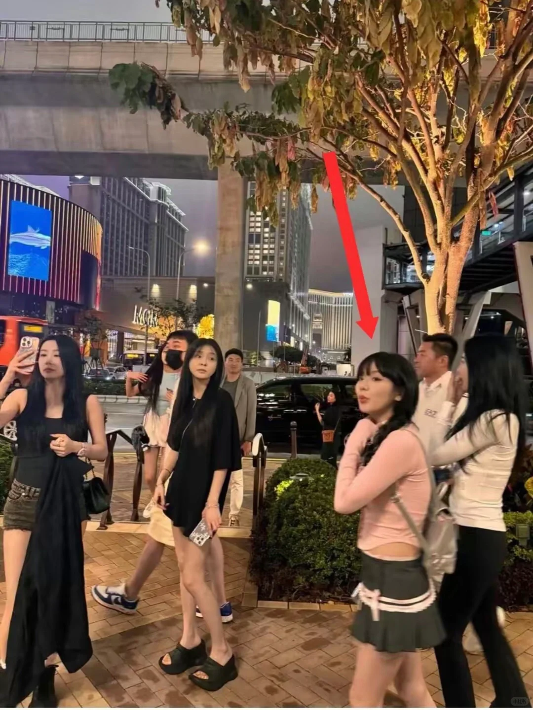 为什么网上美女那么多，现实里却见不着？