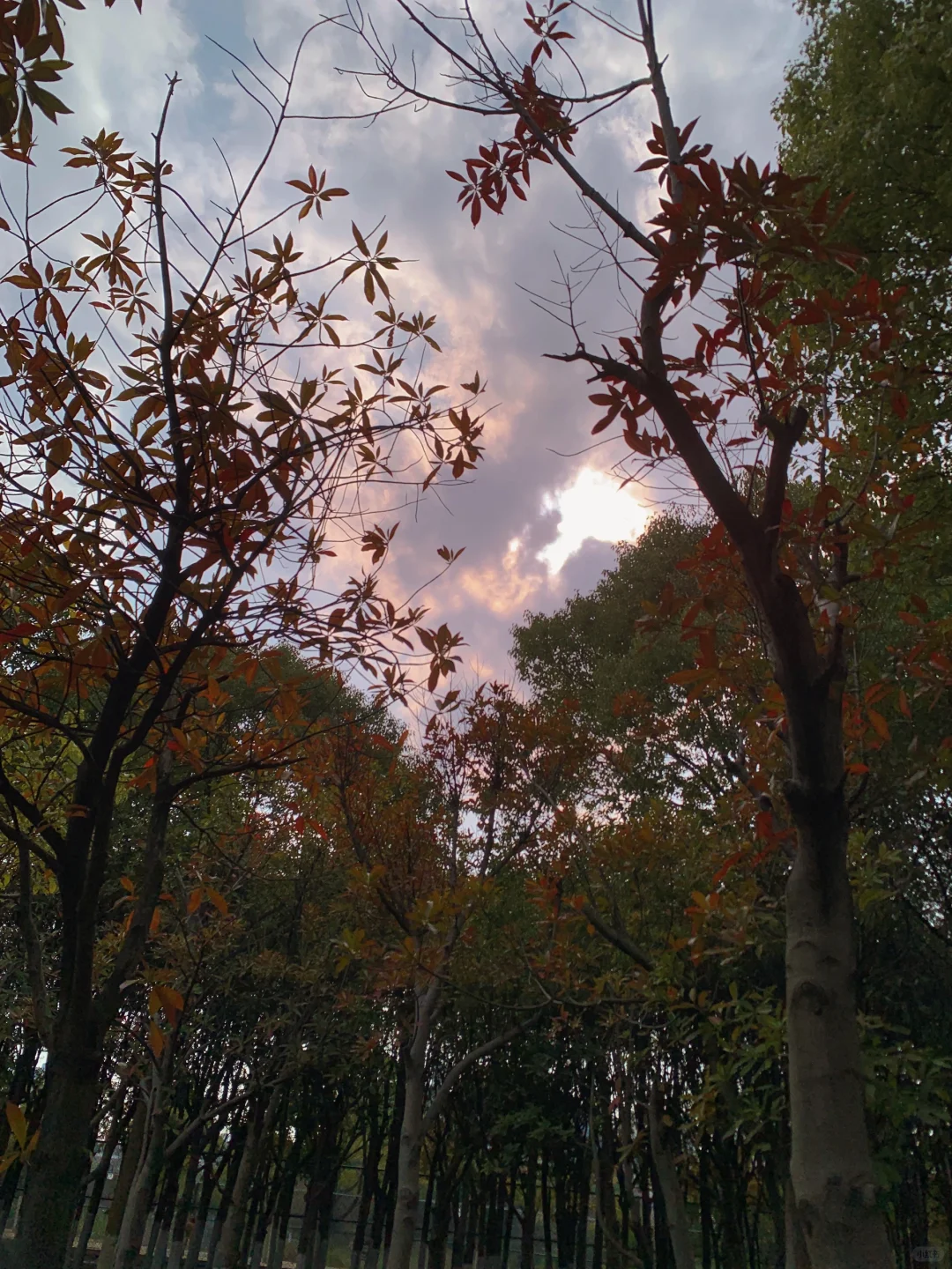 我在江科早八穿什么！