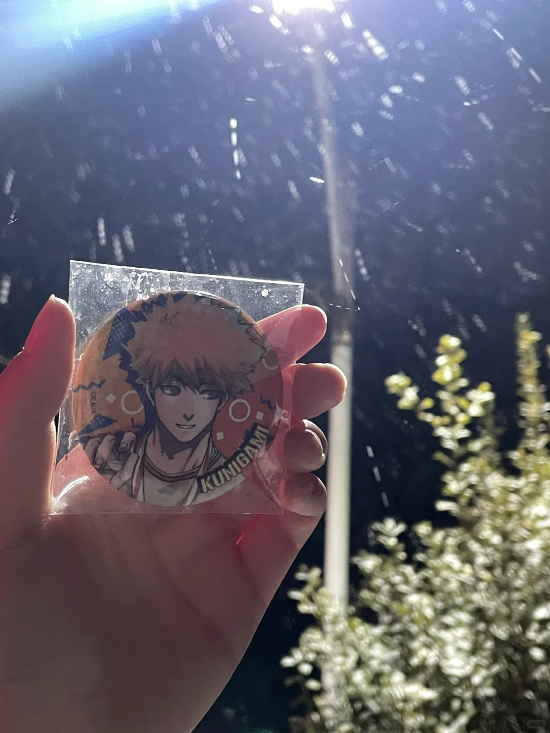 下雪啦❄️果果
