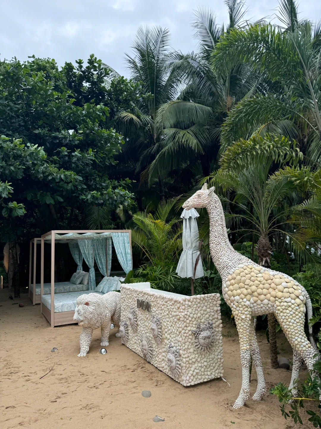 Edition✖️Dior 🏖️🥥🌴