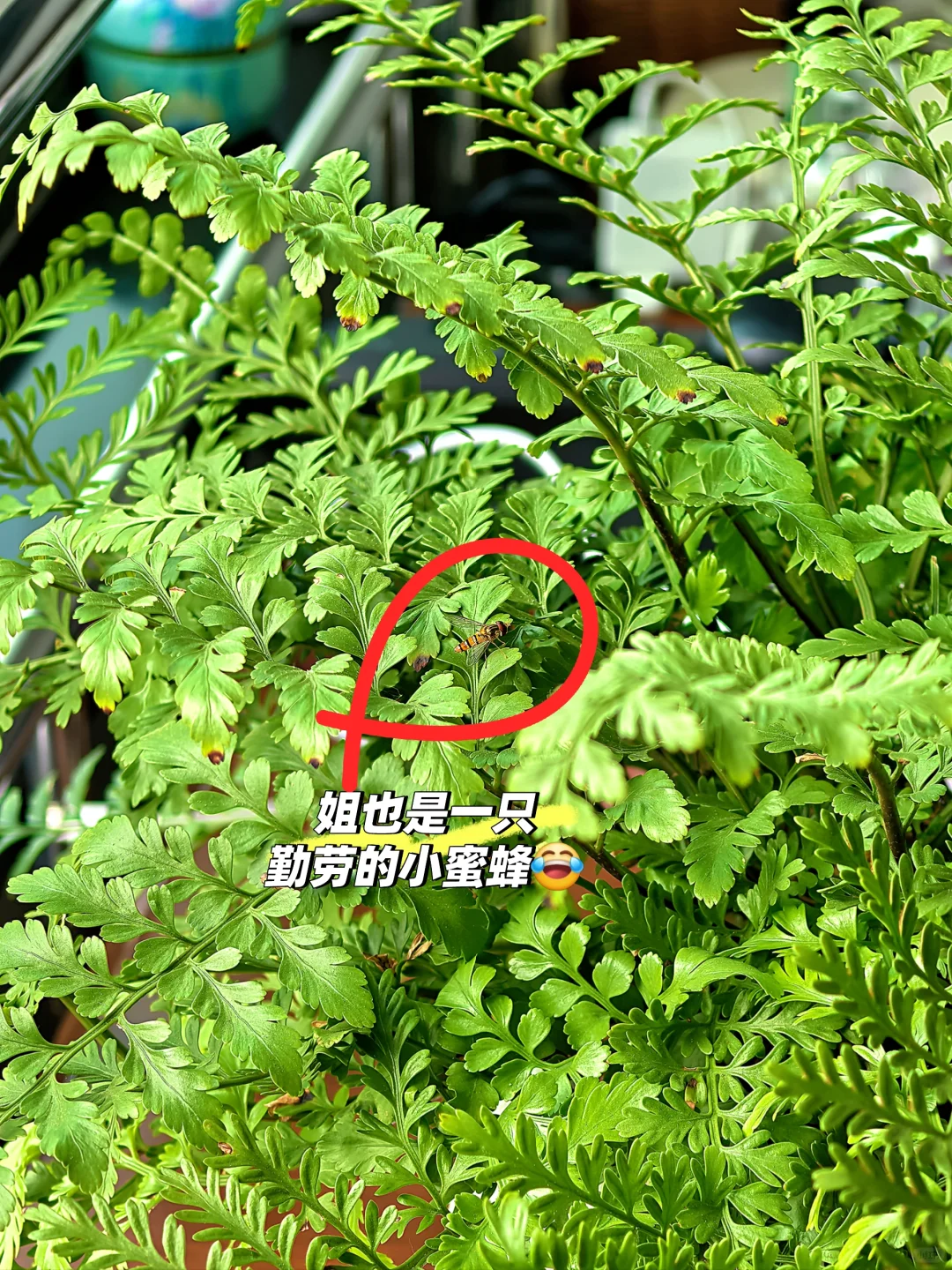 体制内，姐的一周