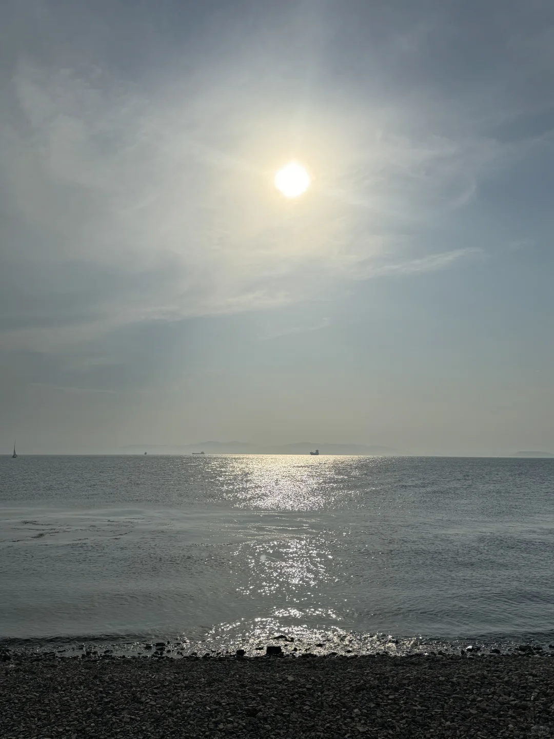 你吃过海胆吗?