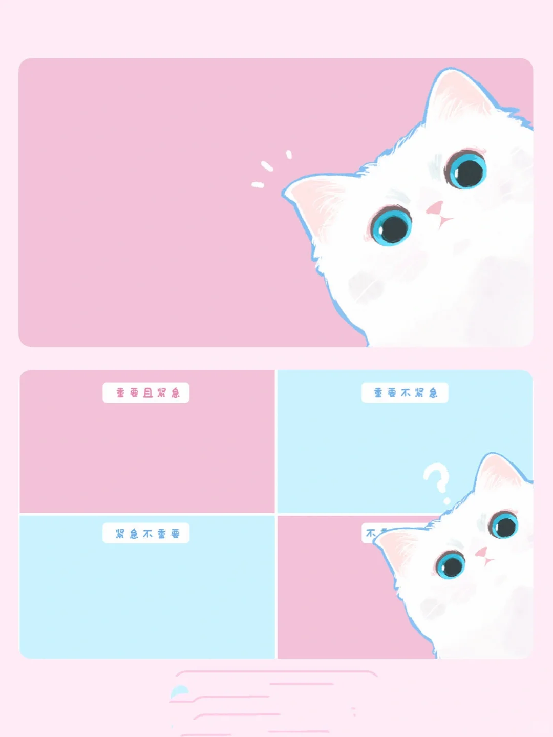 猫猫壁纸来啦 电脑长猫啦 电脑壁纸