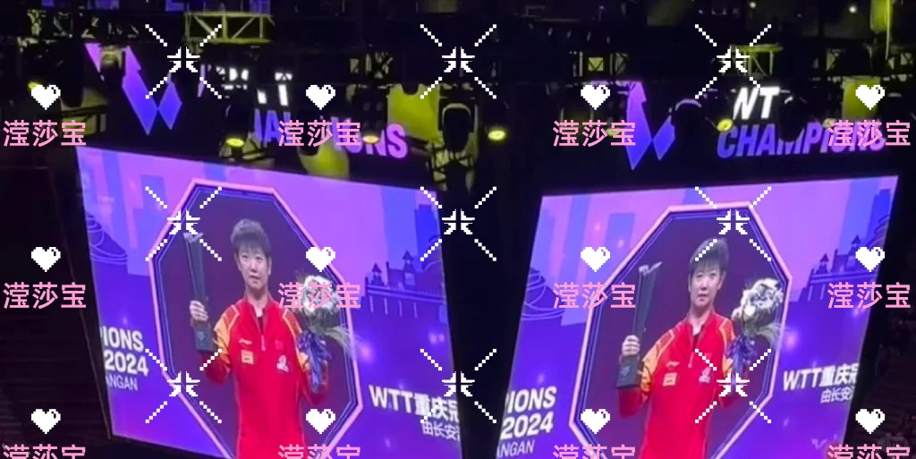 #莎莎铁粉