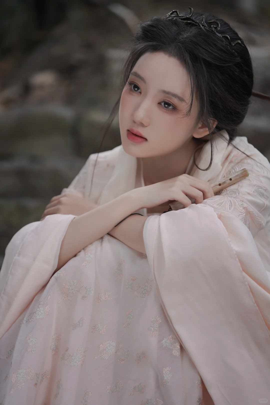 芙蓉～国里尽朝晖