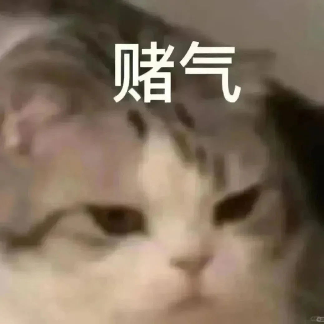 猫猫表情包系列4（2025.4.21）
