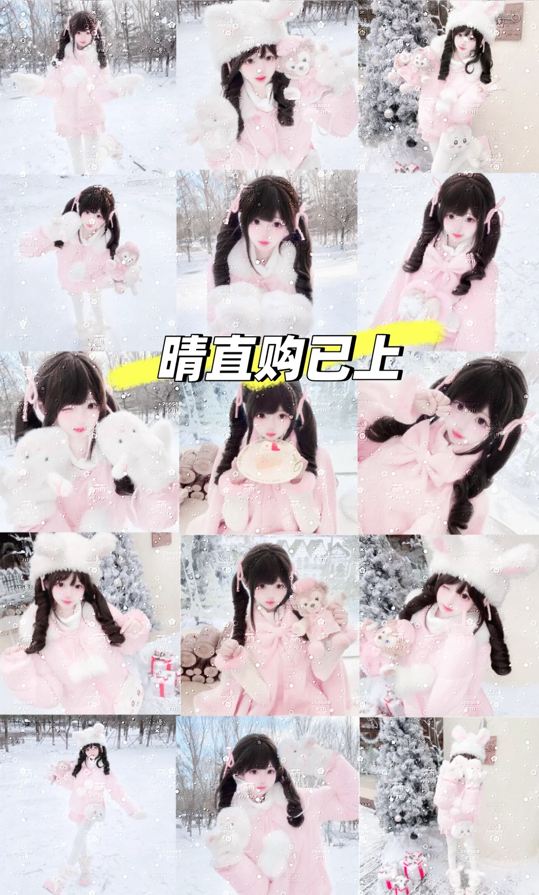 定制会