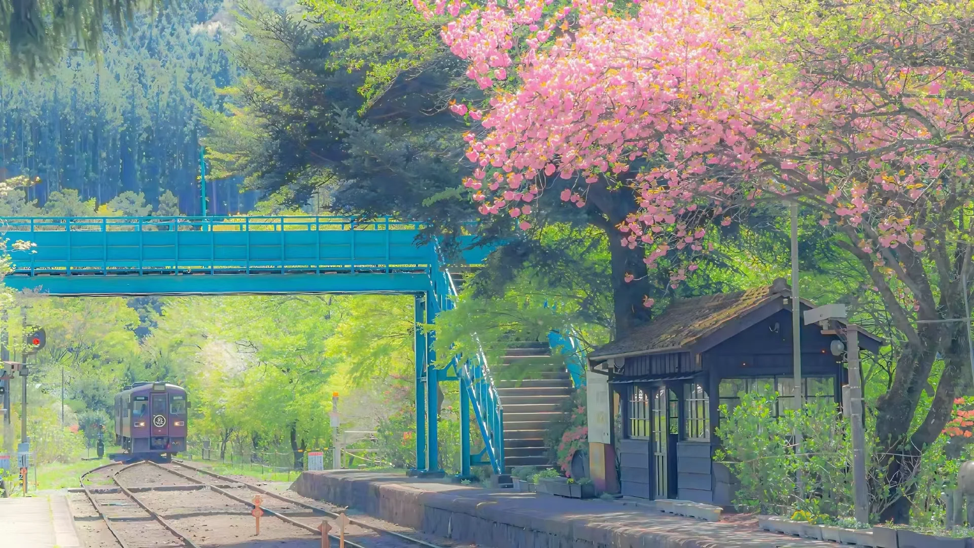 电脑背景图