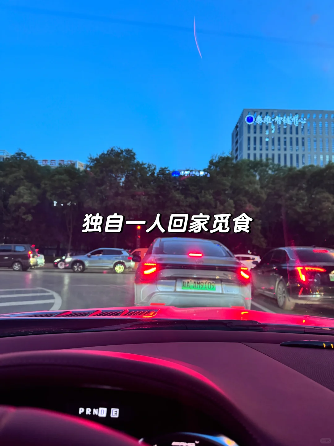 女律师的周末日常记录