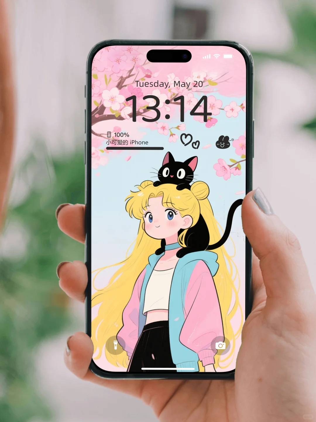 🌸美少女战士梦幻联动壁纸
