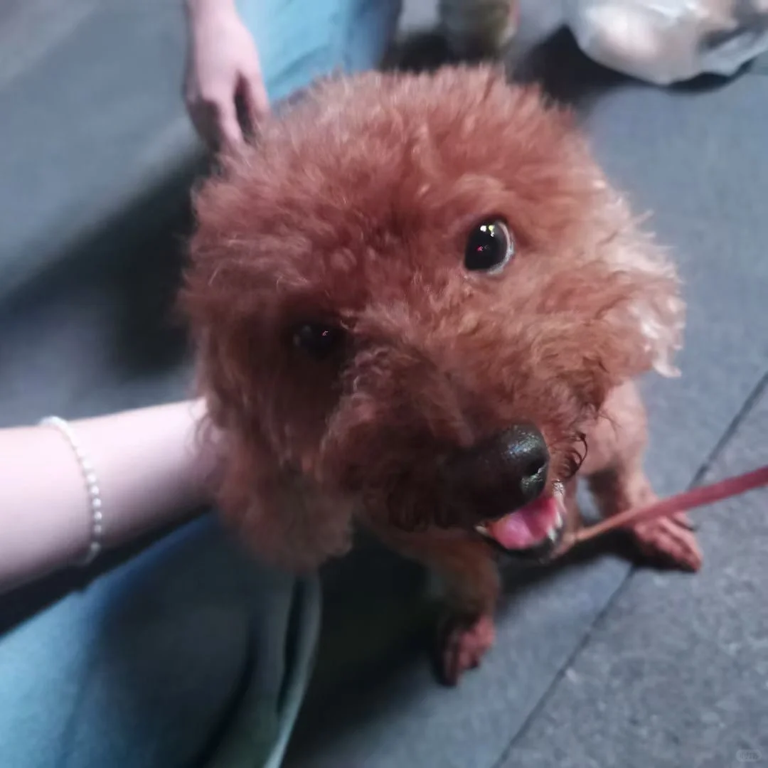 💓 今日一键快乐！