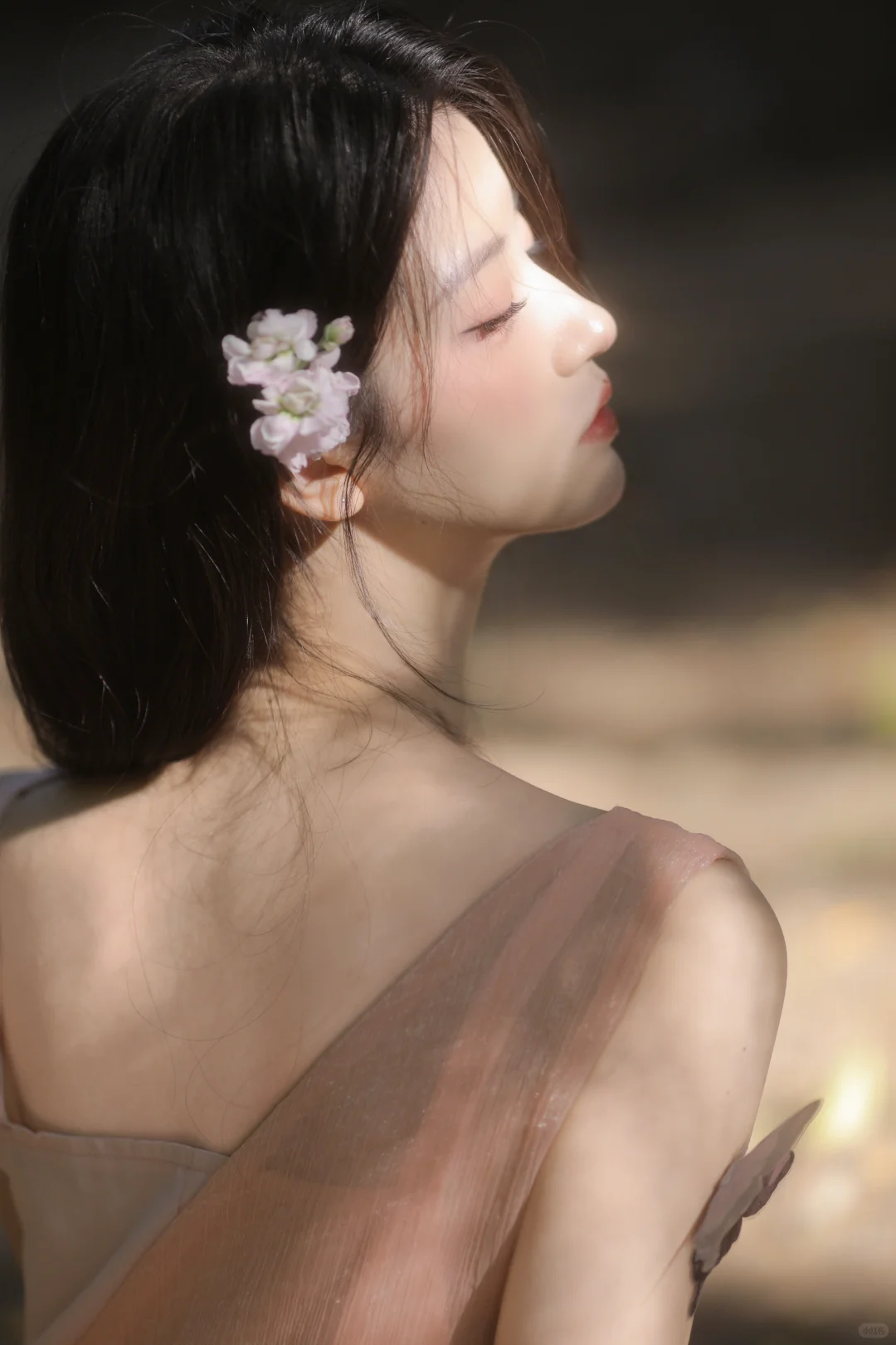 美神降临💫