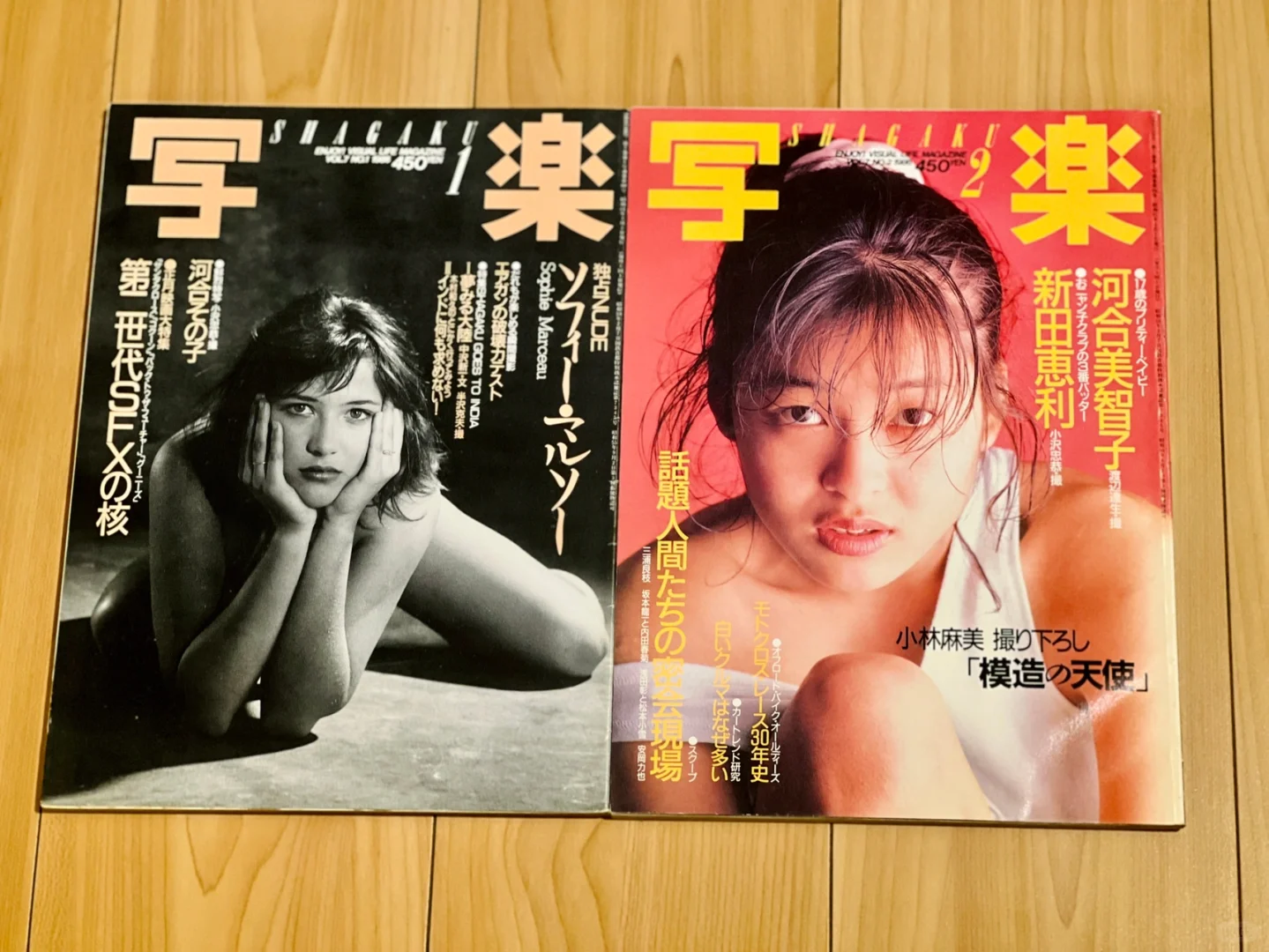 【写楽 】写乐日本摄影杂志从创刊到停刊，69本