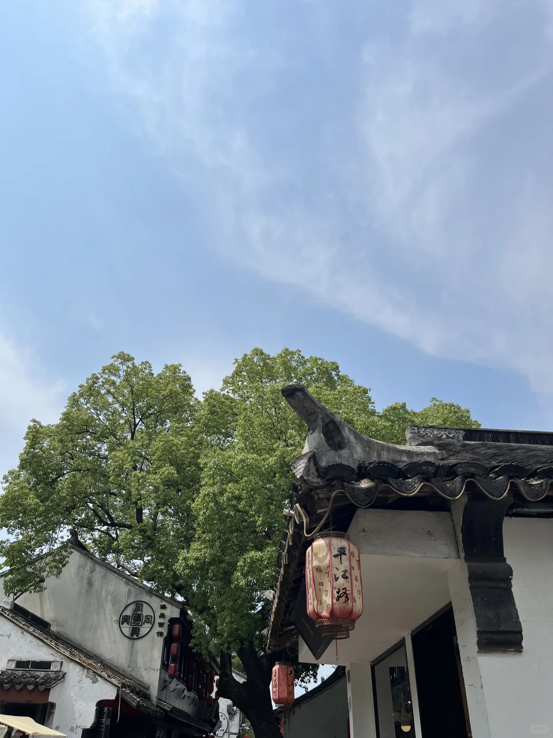 苏州复古手推波妆发+旗袍，路人夸我画报女郎
