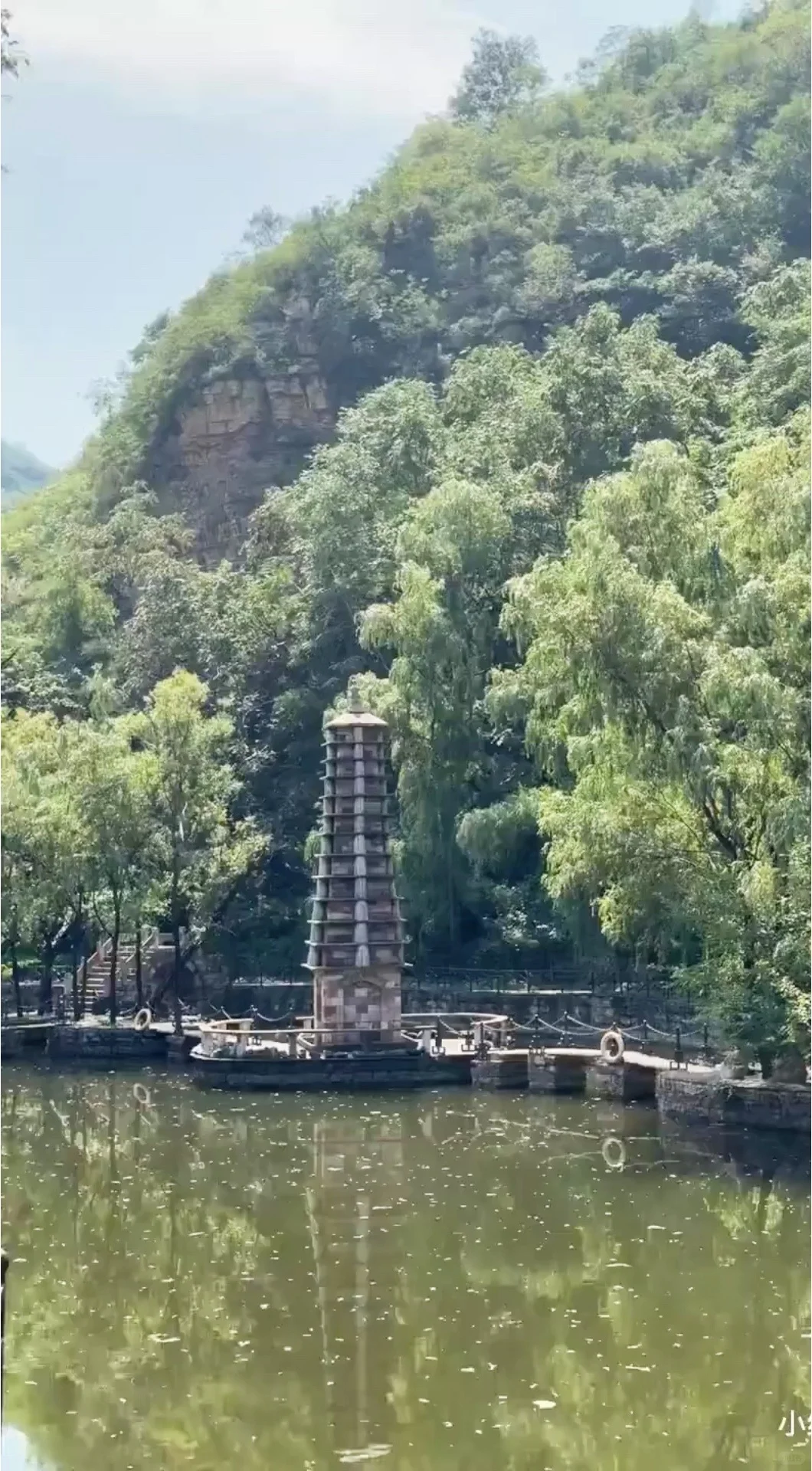 今天的旗袍是温柔的绿🍃