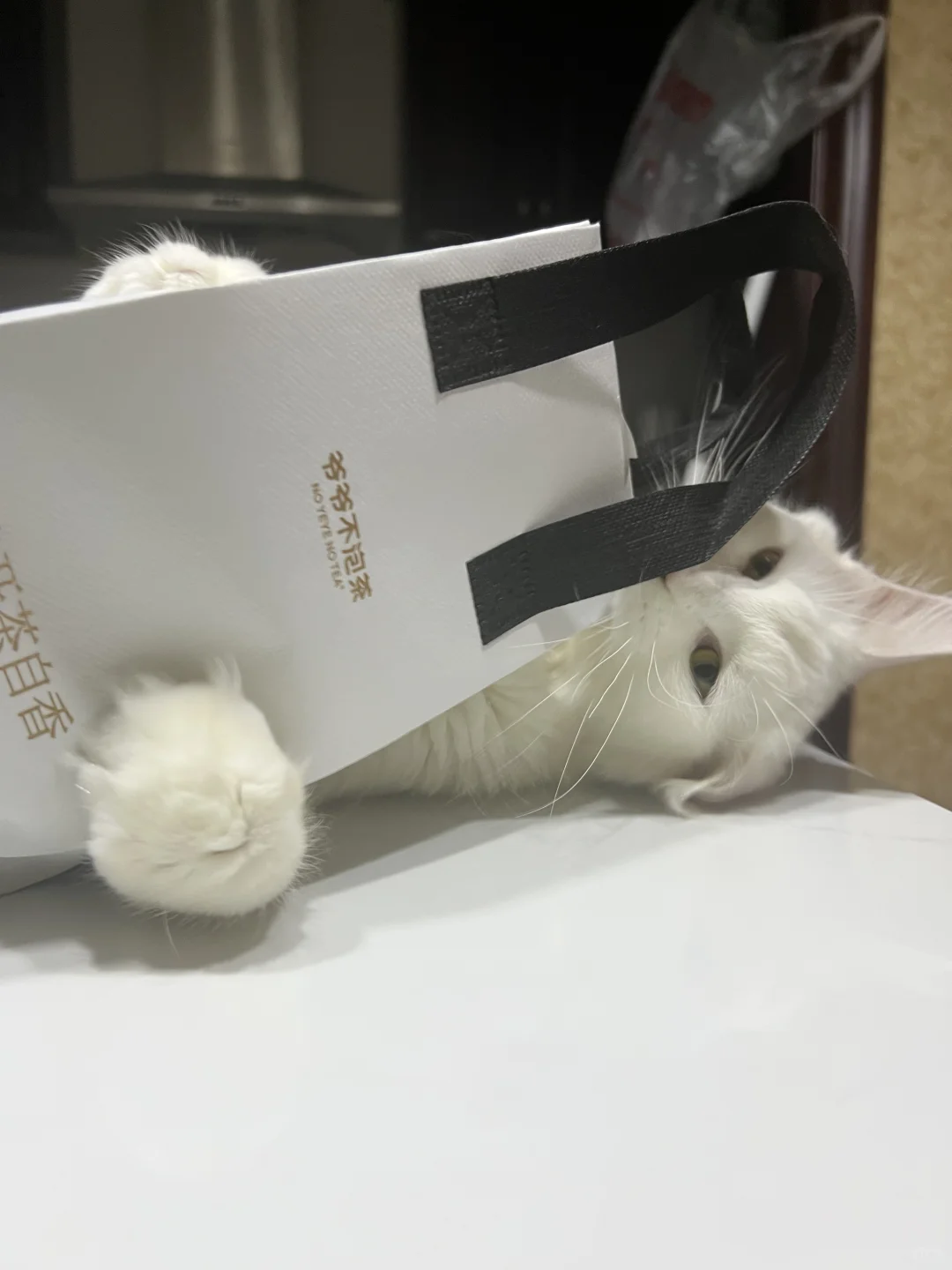 白皮嫩模