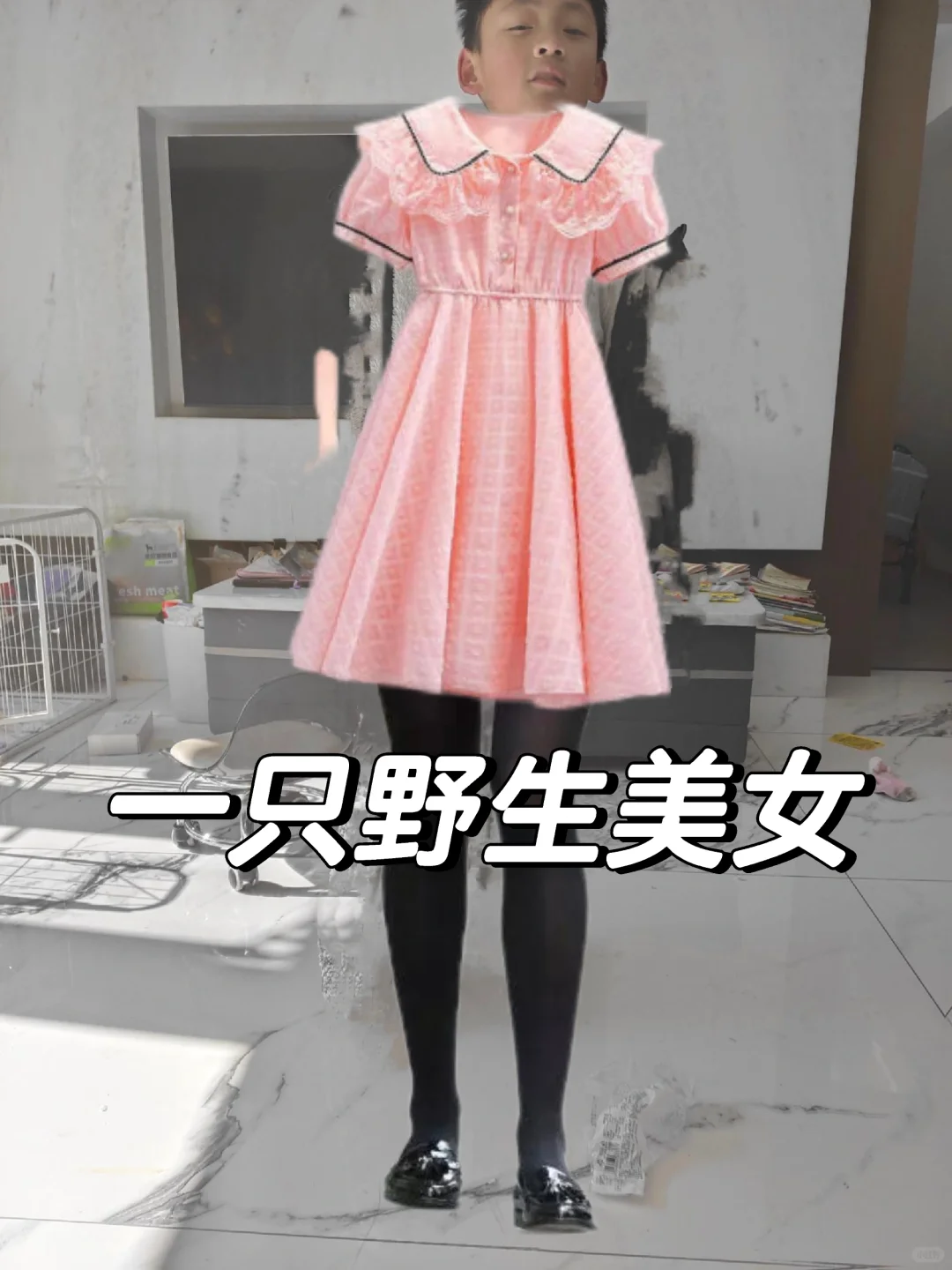 一只野生美女