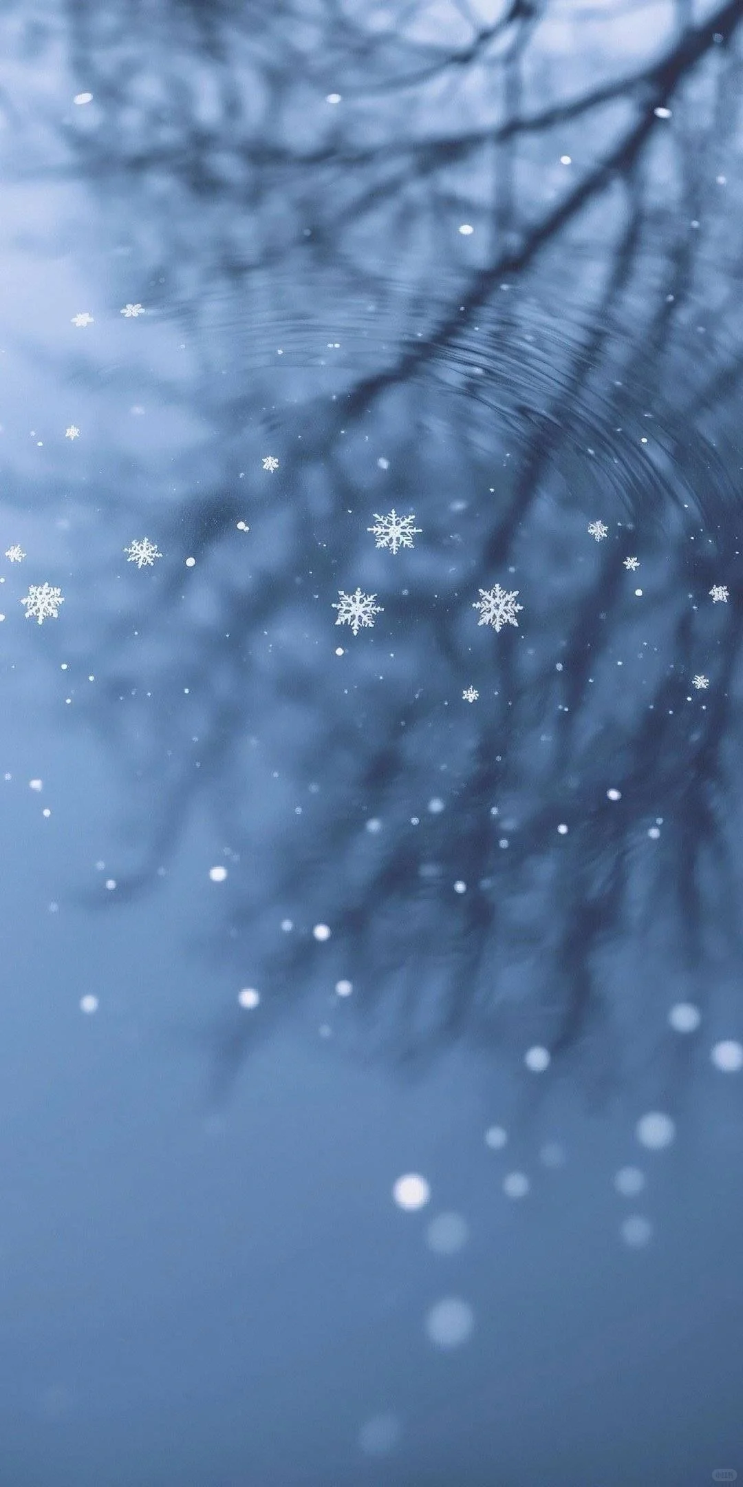 -𝑺𝒉𝒂𝒓𝒆 /雪花❄️壁纸