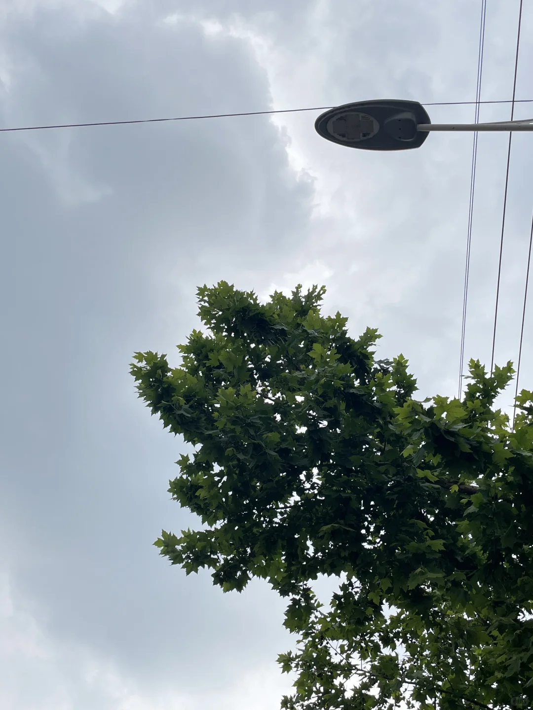 臭美的老阿姨