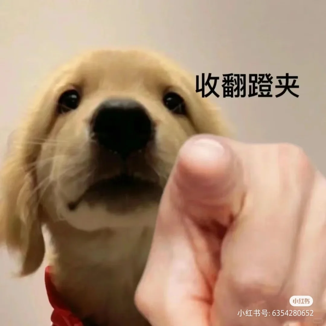 厦漂游泳🏊女教练｜坐标集美🙋‍♀️