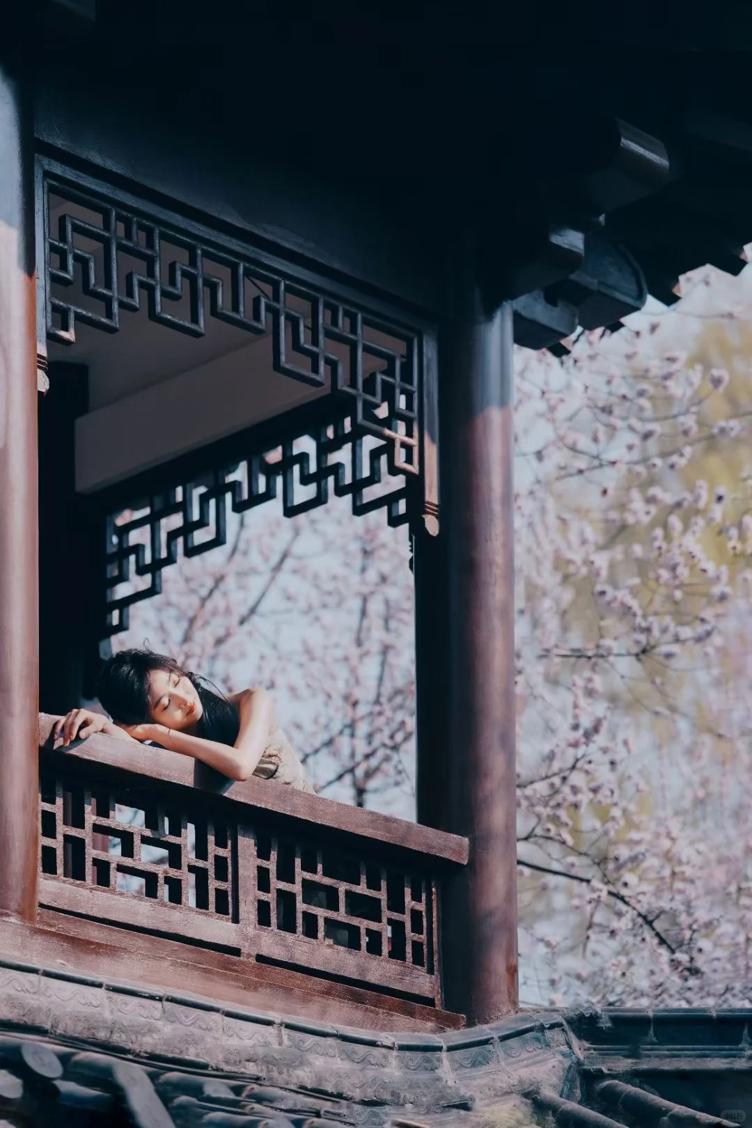 萌叔摄影|梦回江南