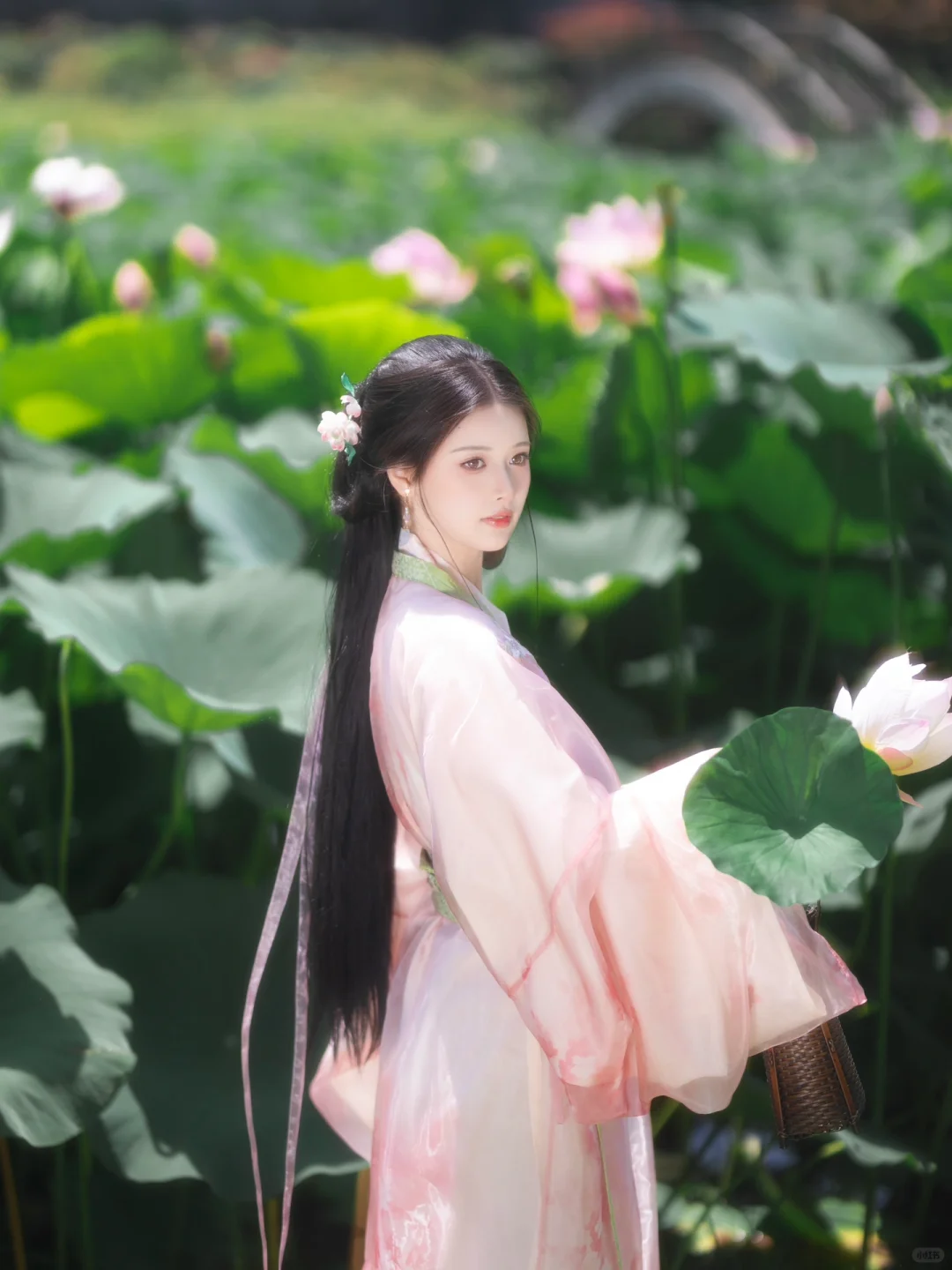 “常记溪亭日暮，沉醉不知归处”