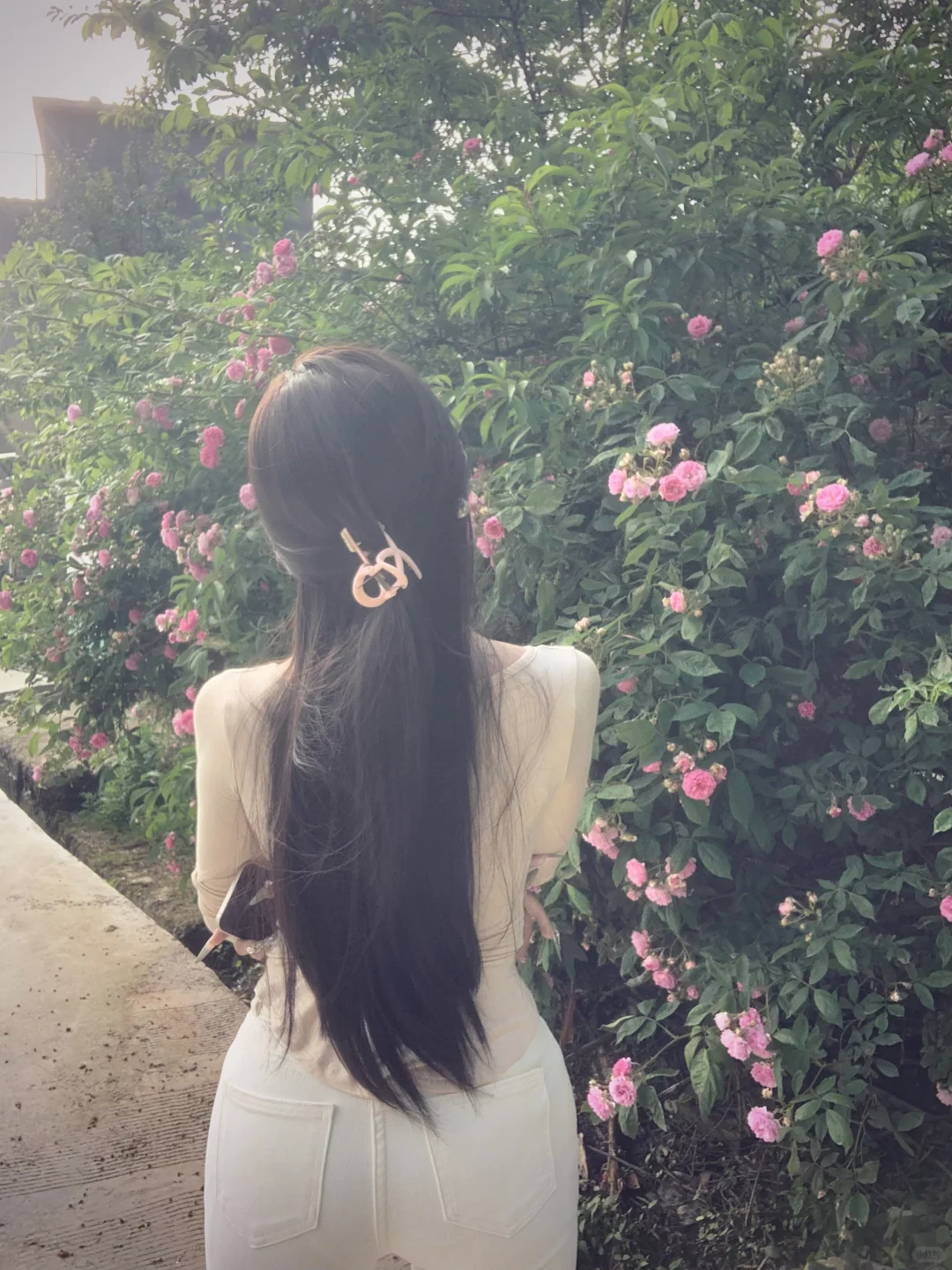 还是没忍住…