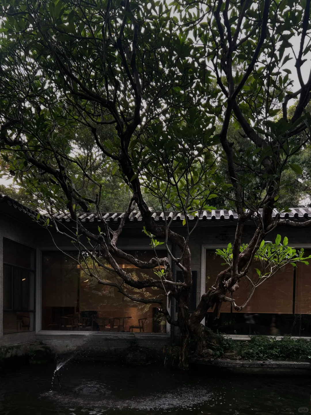 早悟兰因 不结絮果