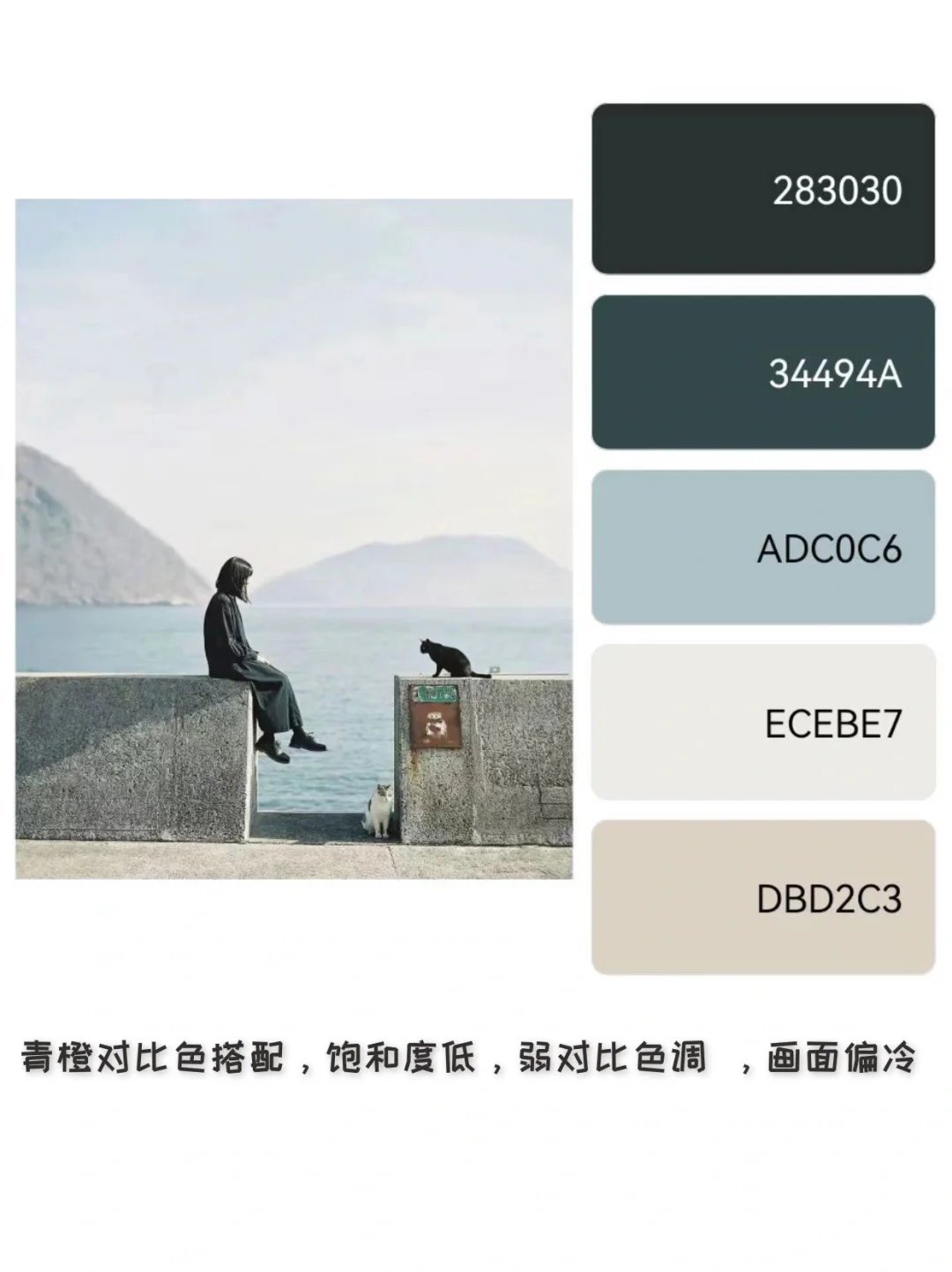 这张照片好在哪？日积月累聊佳作22