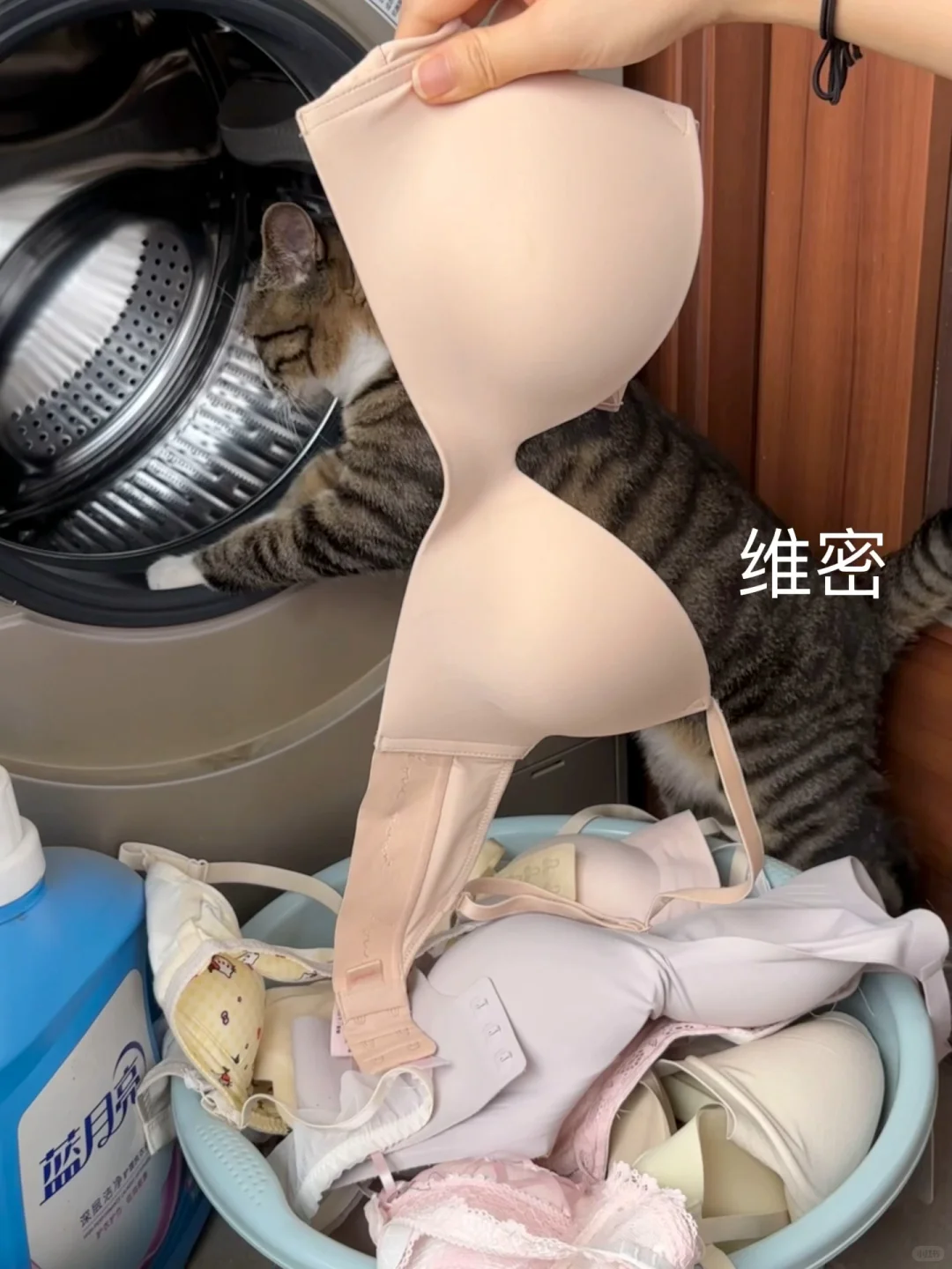 被婆婆说买这么多内衣太浪费了...