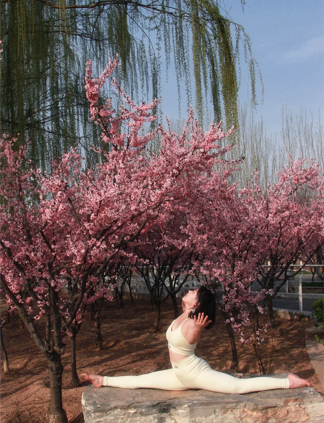 南开春天｜瑜伽体式分享🌸～