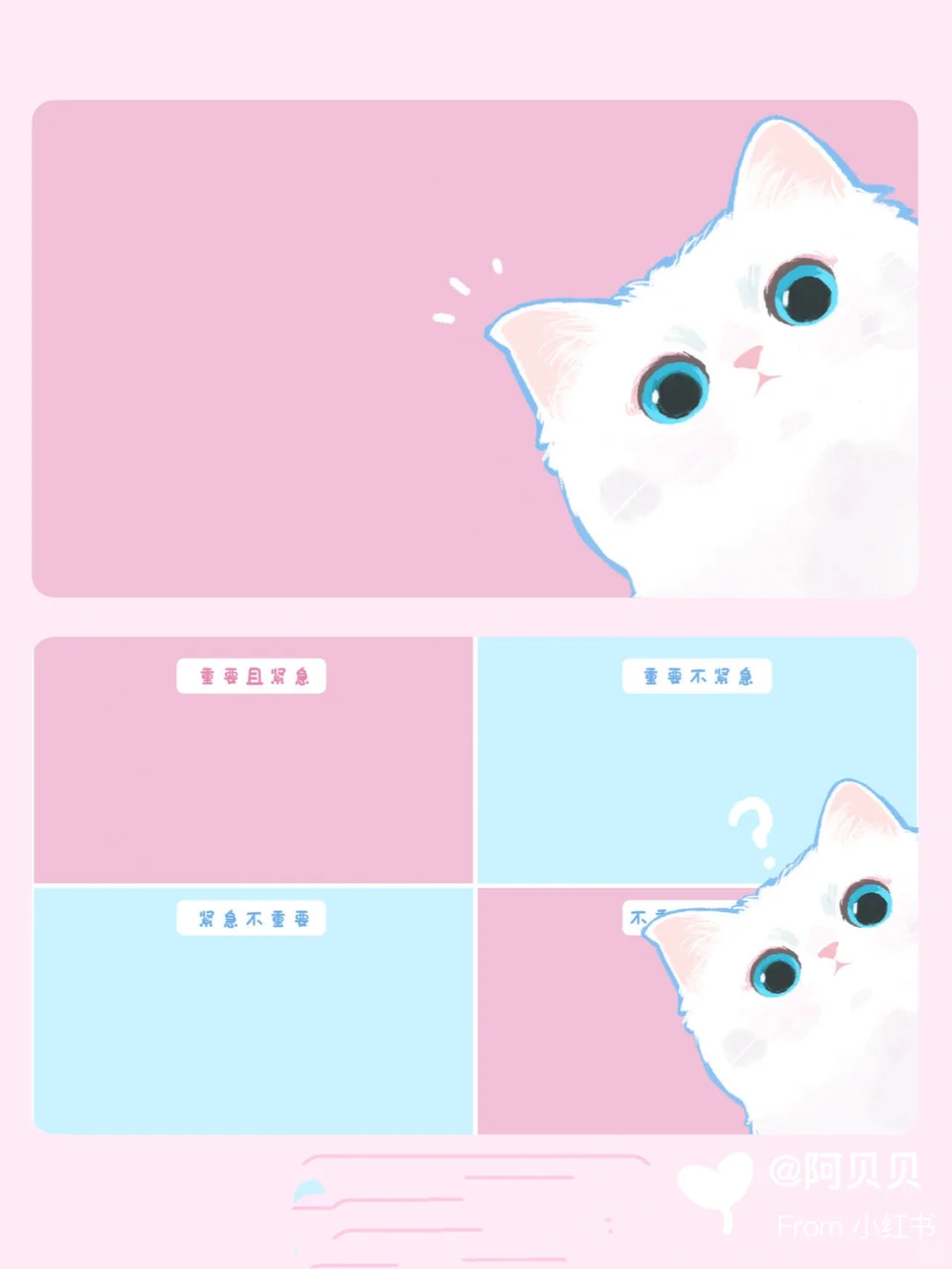 电脑壁纸｜蓝眼睛的小猫咪！🐱