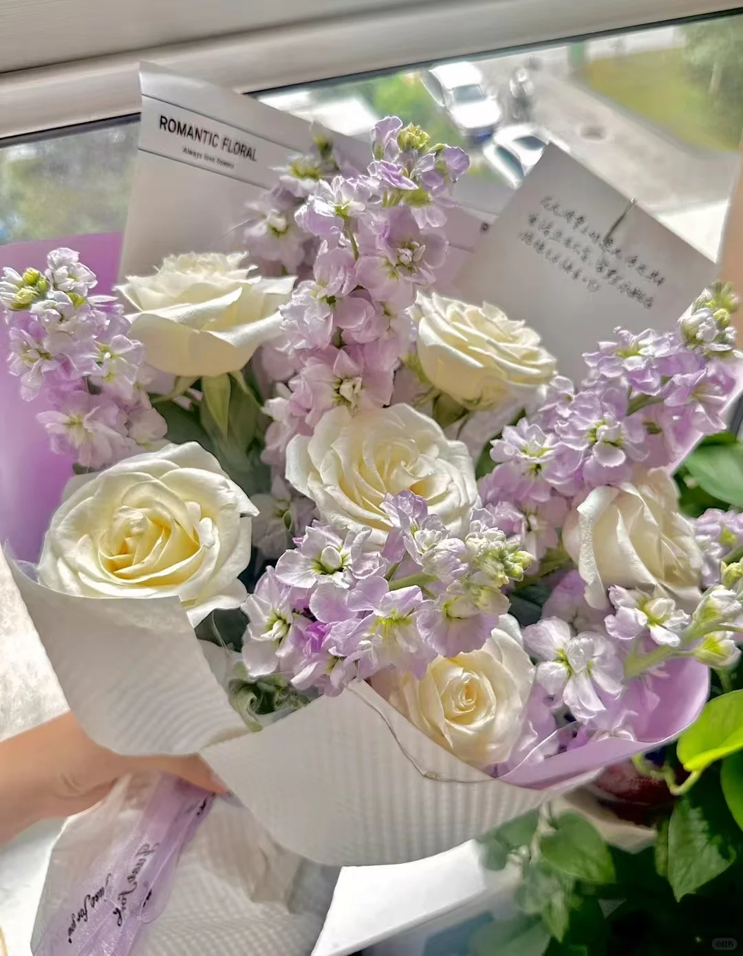 爱蜜莉雅♠️