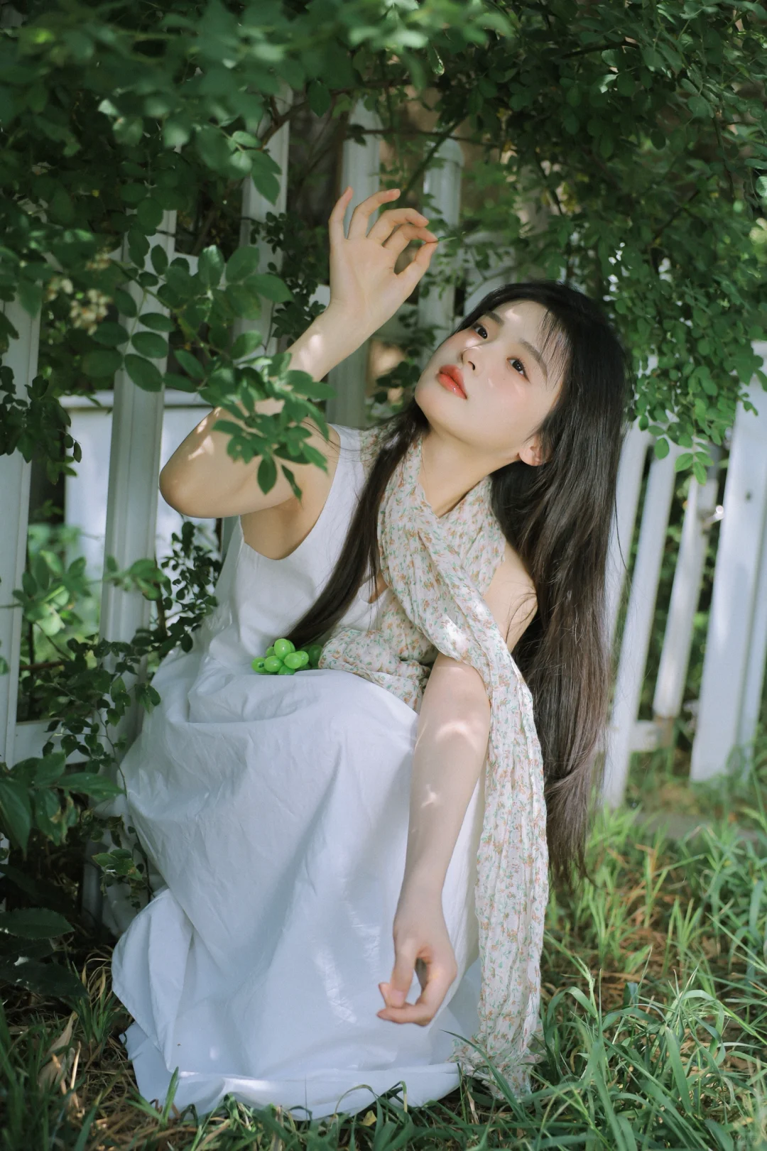 树影摇曳的夏天🍃