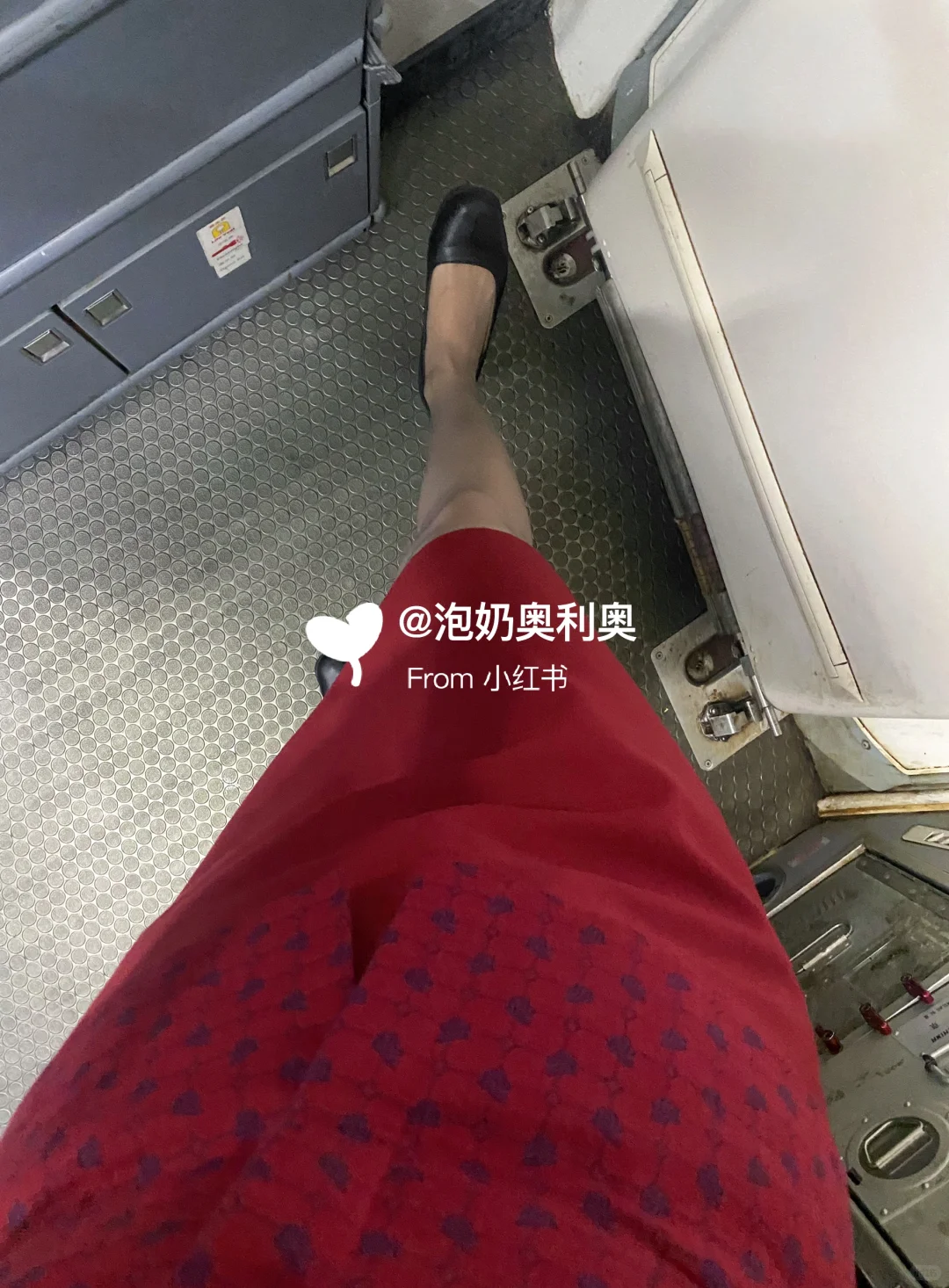 翻斗花园有棵树，叫我美女请记住