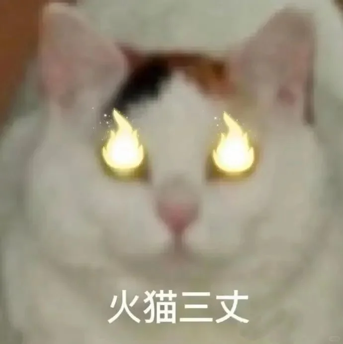 小猫表情包（人类适用3.0）