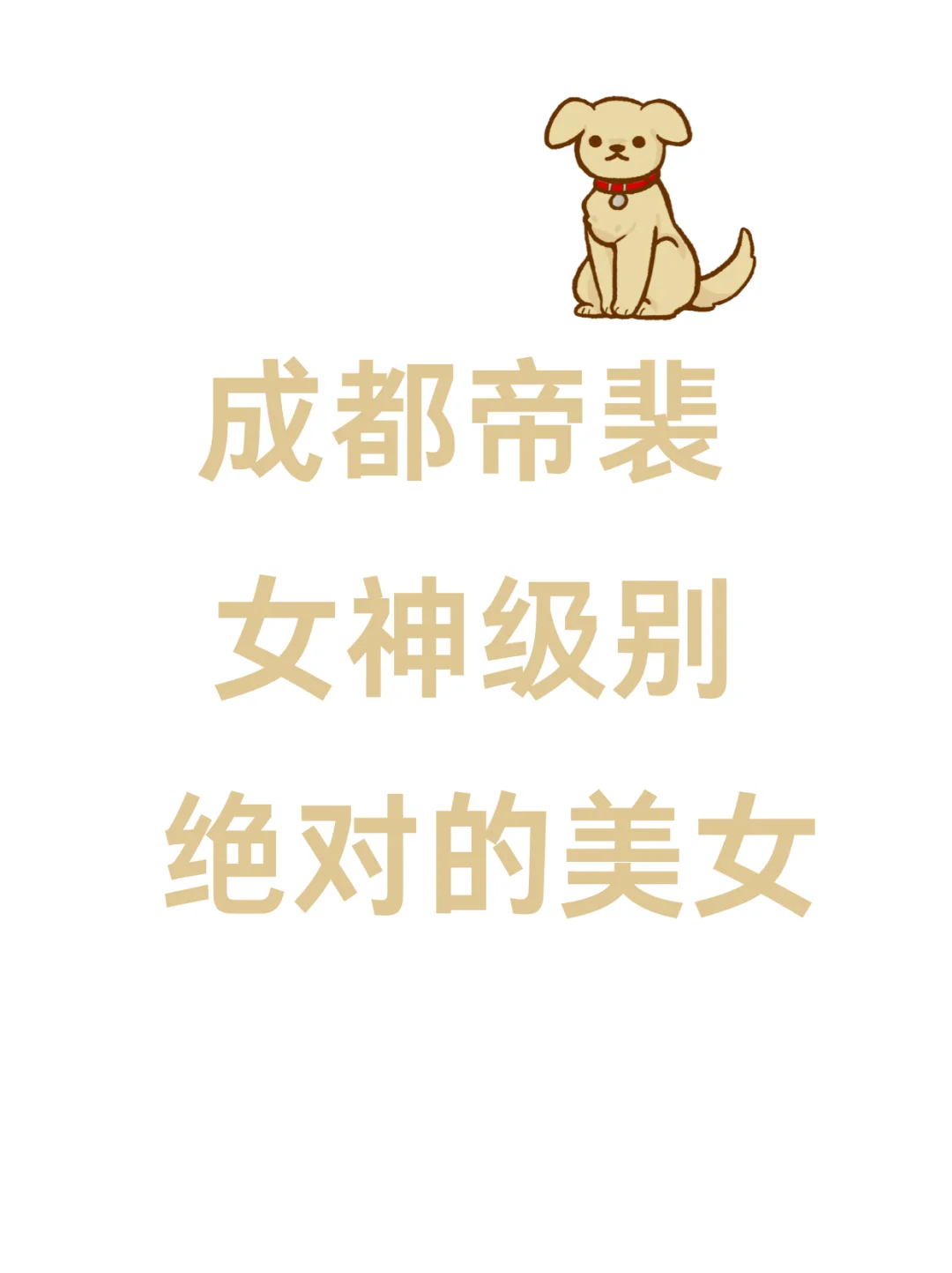 成都帝裴 女神级别 绝对的美女