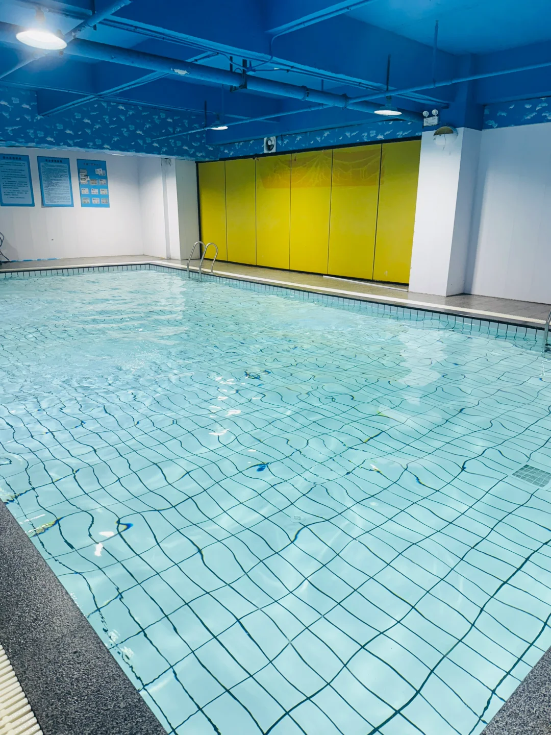 集美游泳🏊‍♀️ 打卡安利神仙绝美游泳馆！