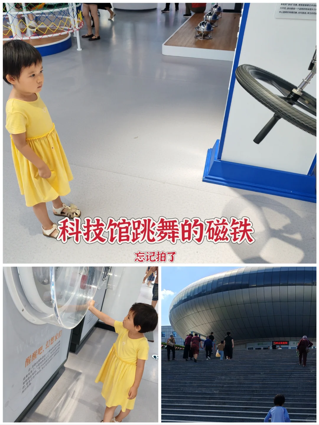 坚持拓展100期--【第二十四期】磁铁
