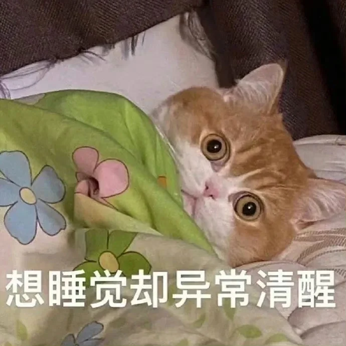 符合我精神状的态表情包