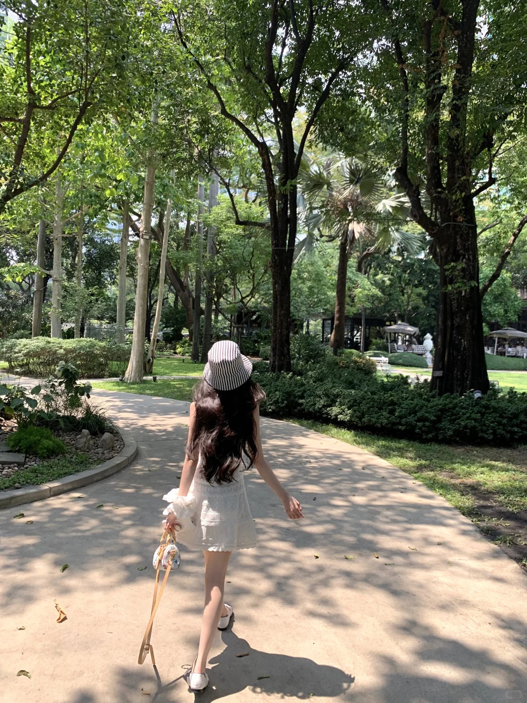 阳光给的生命力