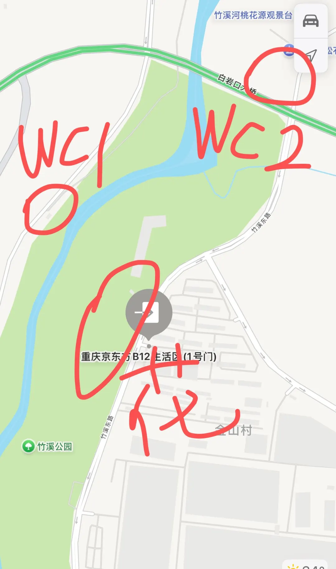 闯入初夏油画里的月见草秘境🌼