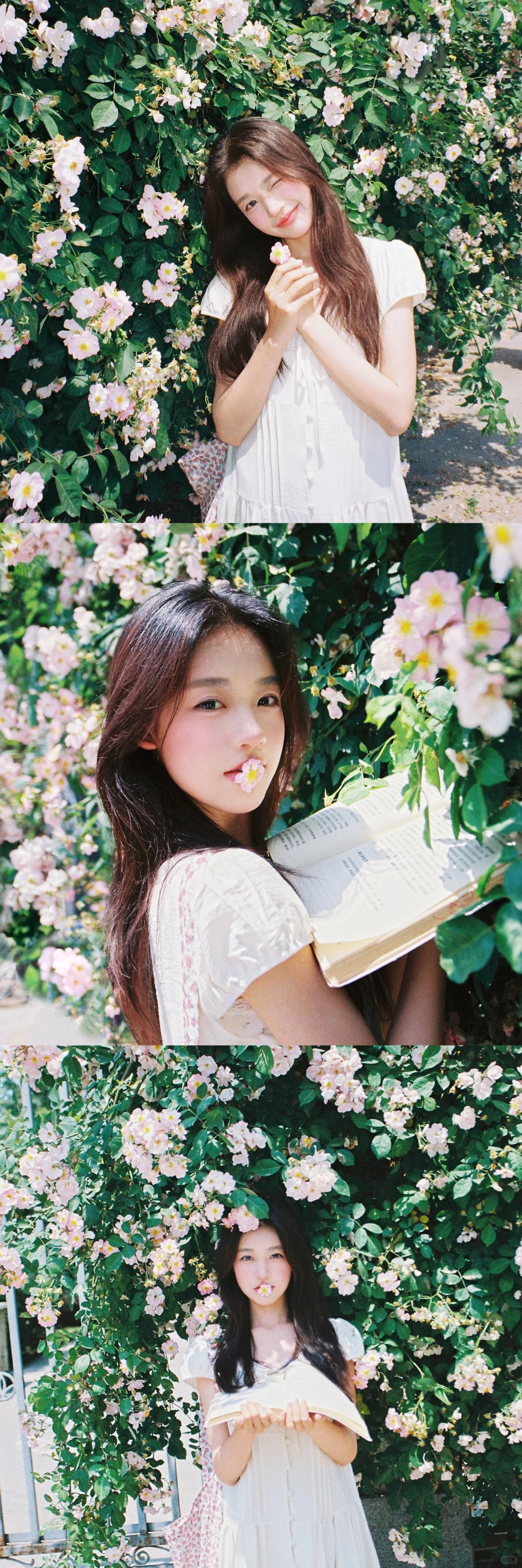 存一些i人小幅度拍花姿势🌷🌸🍃