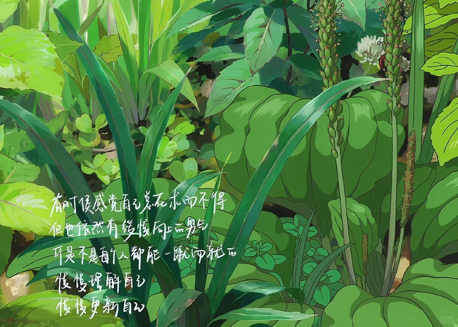 文字ipad壁纸